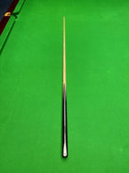Pro Edge Precision Snooker Cue On Green Snooker Cue by Ian Burns 